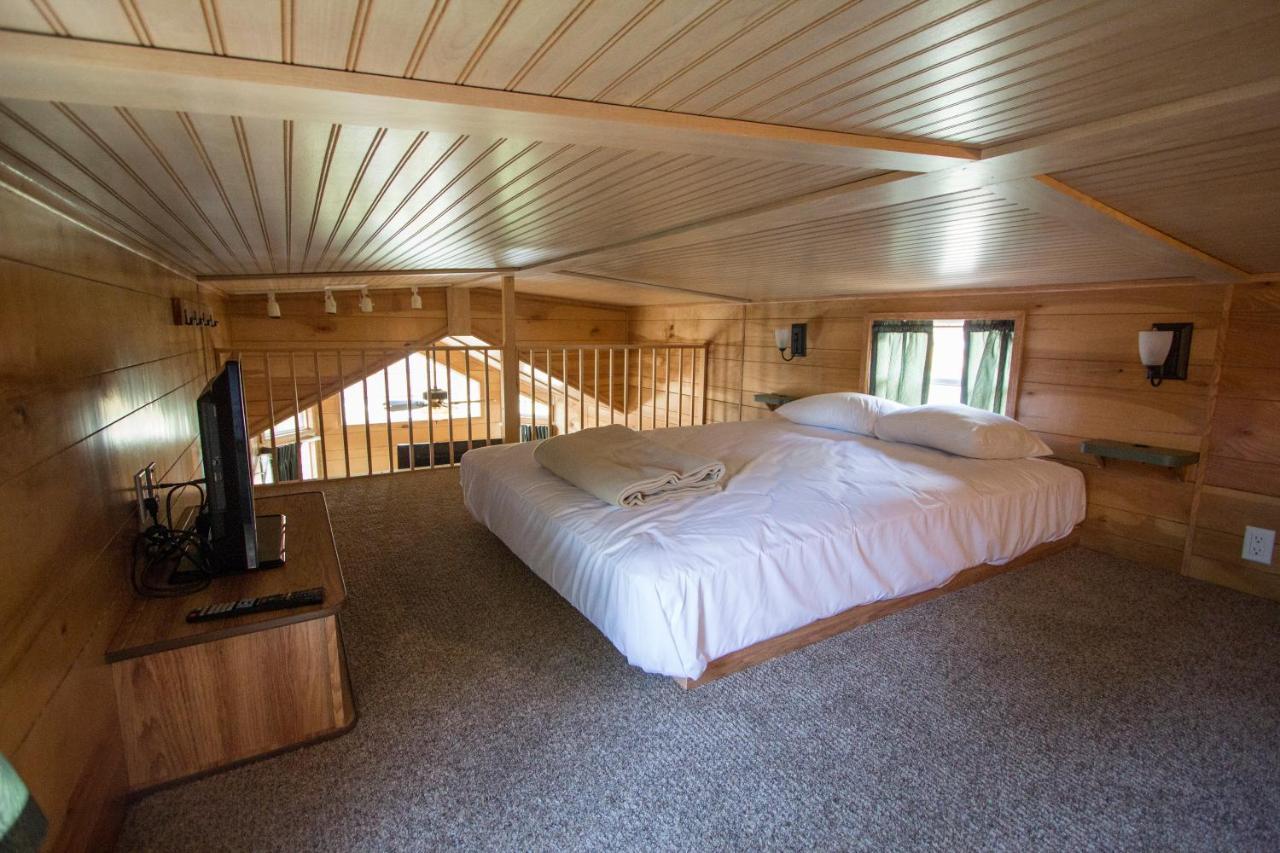 Richmond North / Kings Dominion Koa Campsite 3*